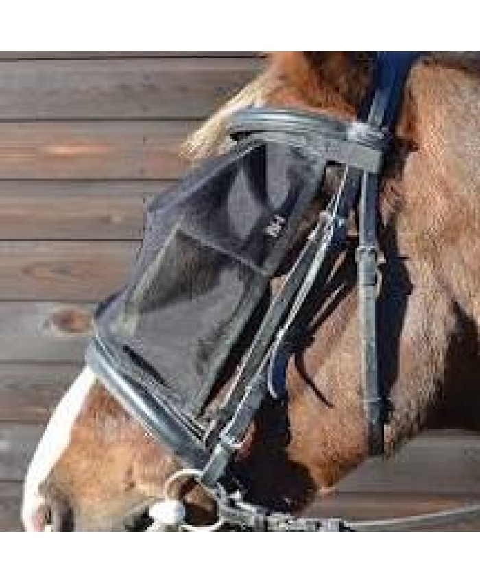 HY Riding Fly Mask